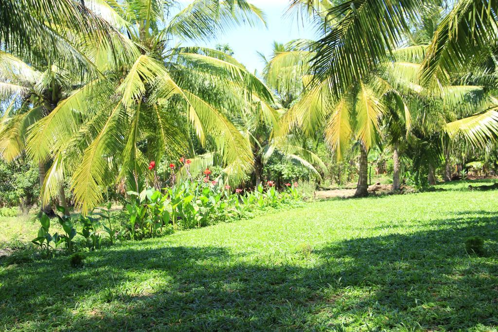 The Coconut Gardens Hotel & Restaurant Tissamaharama Chambre photo